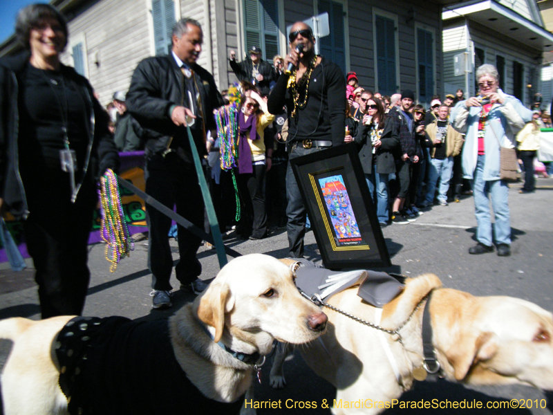 Mystic-Krewe-of-Barkus-2010-HC-Dog-Parade-Mardi-Gras-New-Orleans-8205
