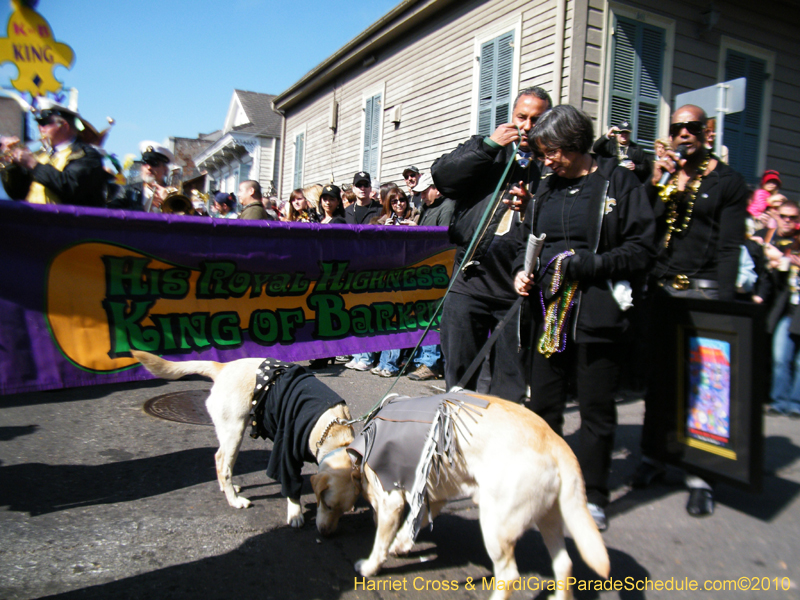 Mystic-Krewe-of-Barkus-2010-HC-Dog-Parade-Mardi-Gras-New-Orleans-8206