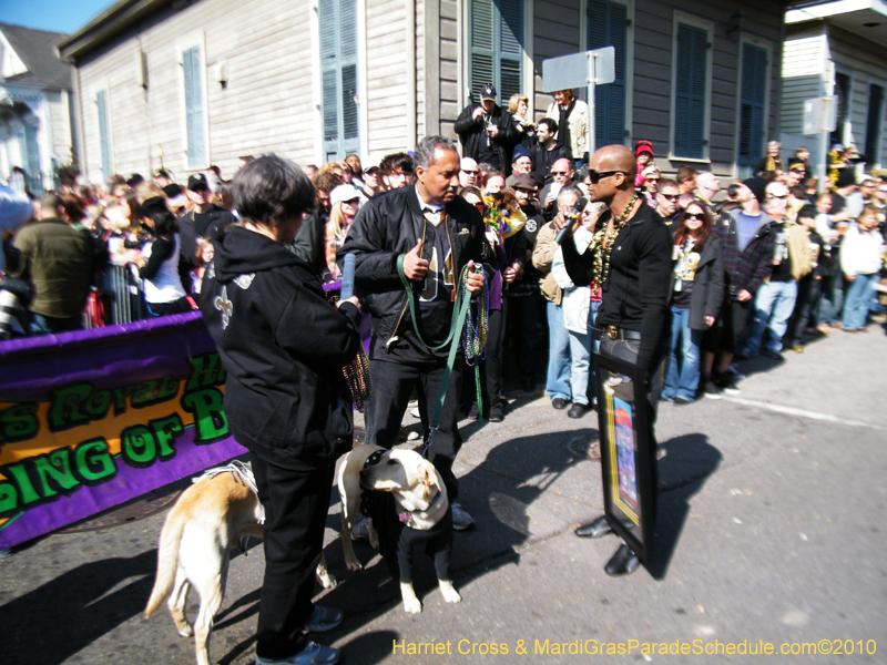 Mystic-Krewe-of-Barkus-2010-HC-Dog-Parade-Mardi-Gras-New-Orleans-8207