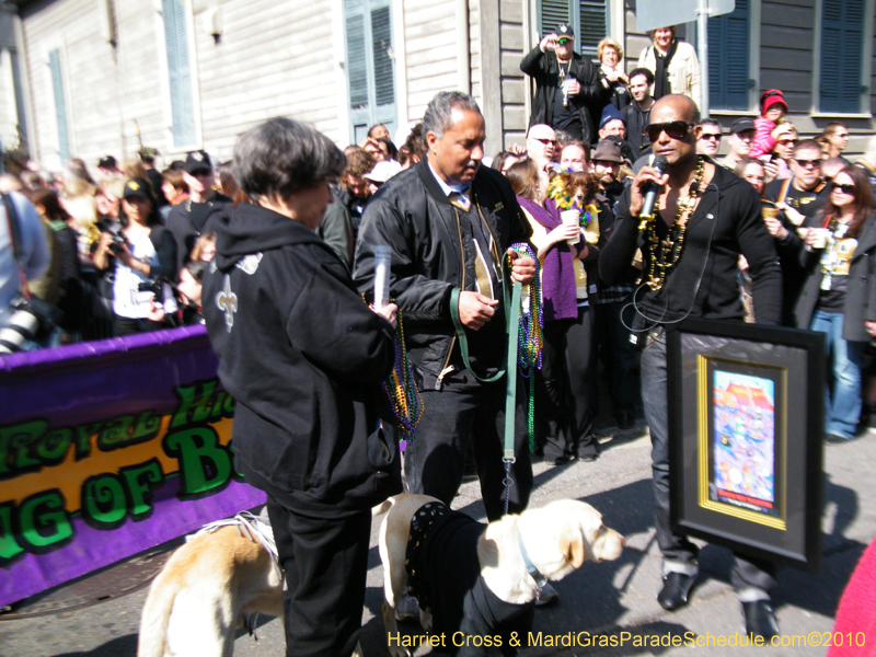 Mystic-Krewe-of-Barkus-2010-HC-Dog-Parade-Mardi-Gras-New-Orleans-8208