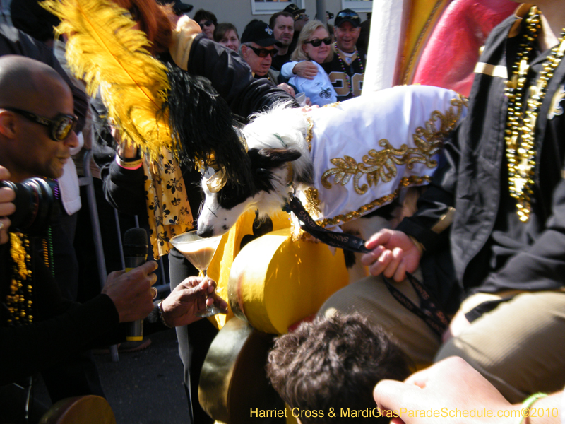 Mystic-Krewe-of-Barkus-2010-HC-Dog-Parade-Mardi-Gras-New-Orleans-8219