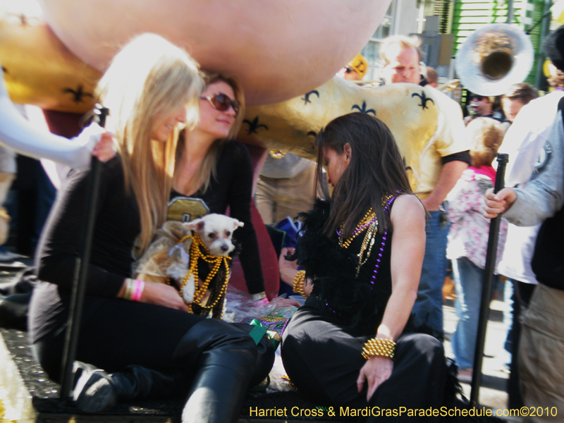 Mystic-Krewe-of-Barkus-2010-HC-Dog-Parade-Mardi-Gras-New-Orleans-8237