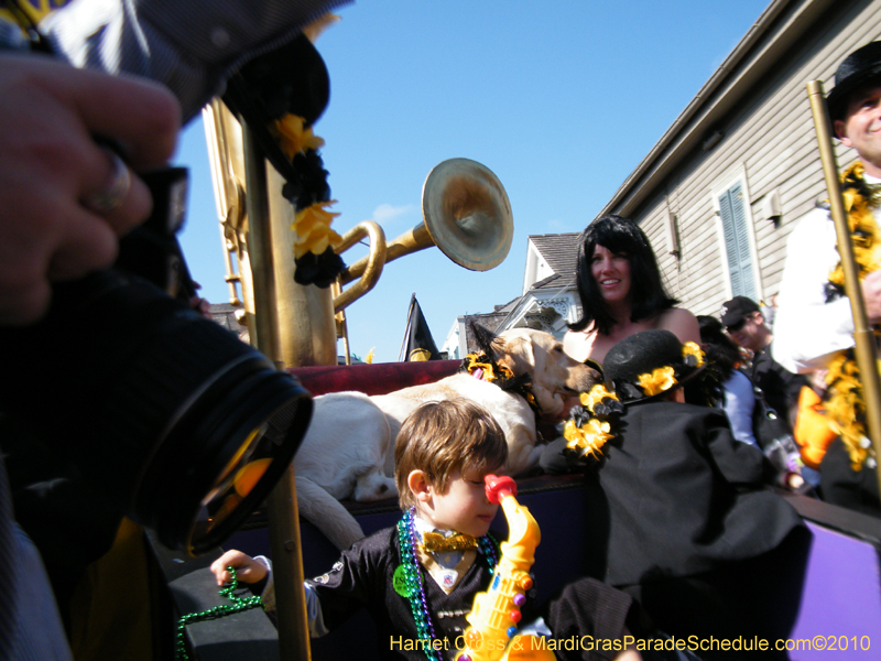Mystic-Krewe-of-Barkus-2010-HC-Dog-Parade-Mardi-Gras-New-Orleans-8243