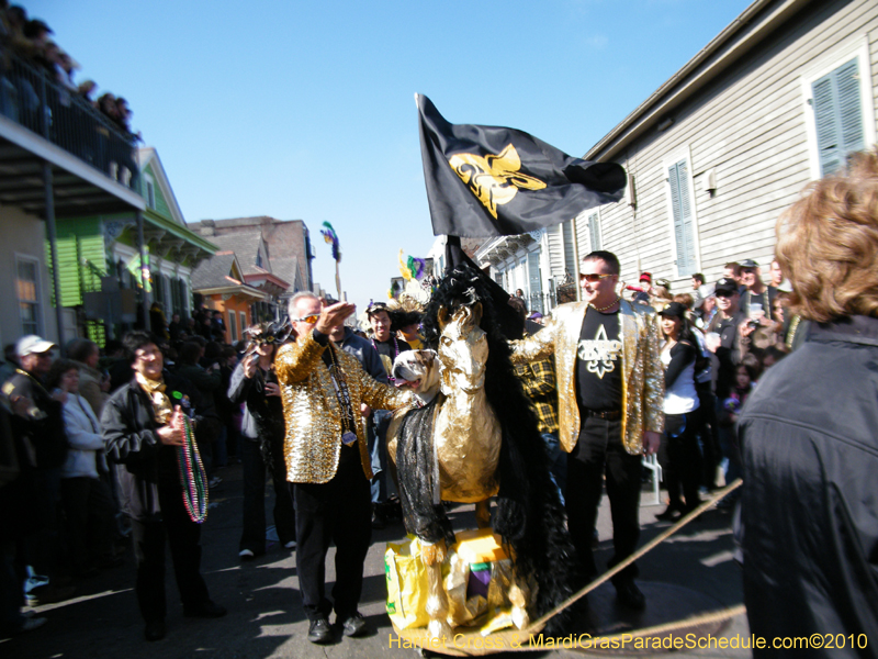 Mystic-Krewe-of-Barkus-2010-HC-Dog-Parade-Mardi-Gras-New-Orleans-8249