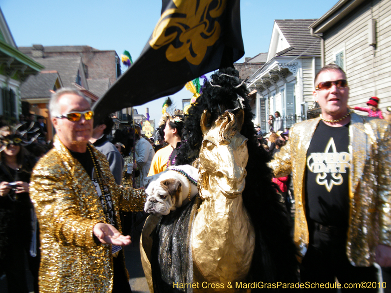 Mystic-Krewe-of-Barkus-2010-HC-Dog-Parade-Mardi-Gras-New-Orleans-8250