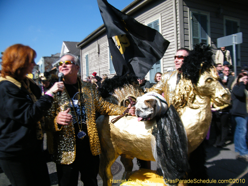 Mystic-Krewe-of-Barkus-2010-HC-Dog-Parade-Mardi-Gras-New-Orleans-8251