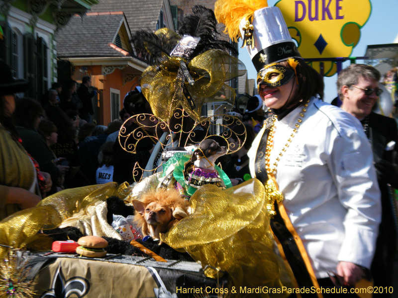 Mystic-Krewe-of-Barkus-2010-HC-Dog-Parade-Mardi-Gras-New-Orleans-8269