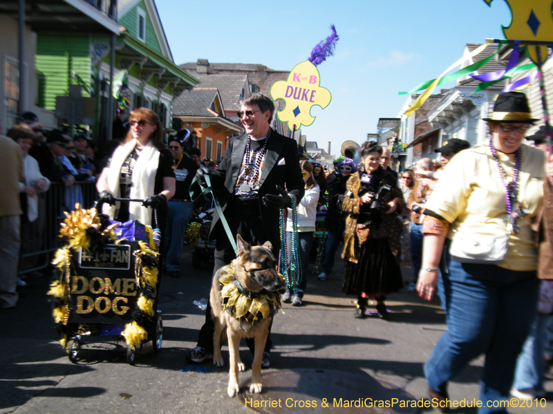 Mystic-Krewe-of-Barkus-2010-HC-Dog-Parade-Mardi-Gras-New-Orleans-8275