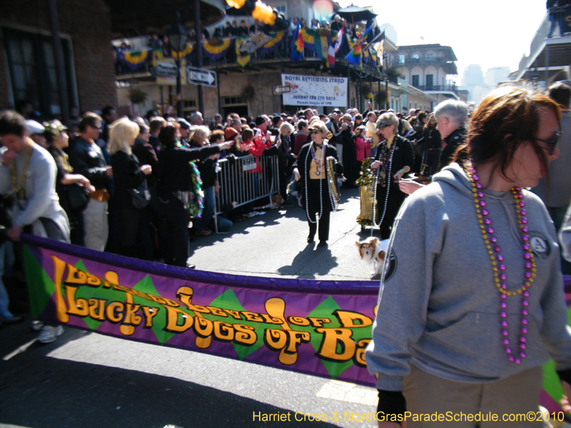 Mystic-Krewe-of-Barkus-2010-HC-Dog-Parade-Mardi-Gras-New-Orleans-8282