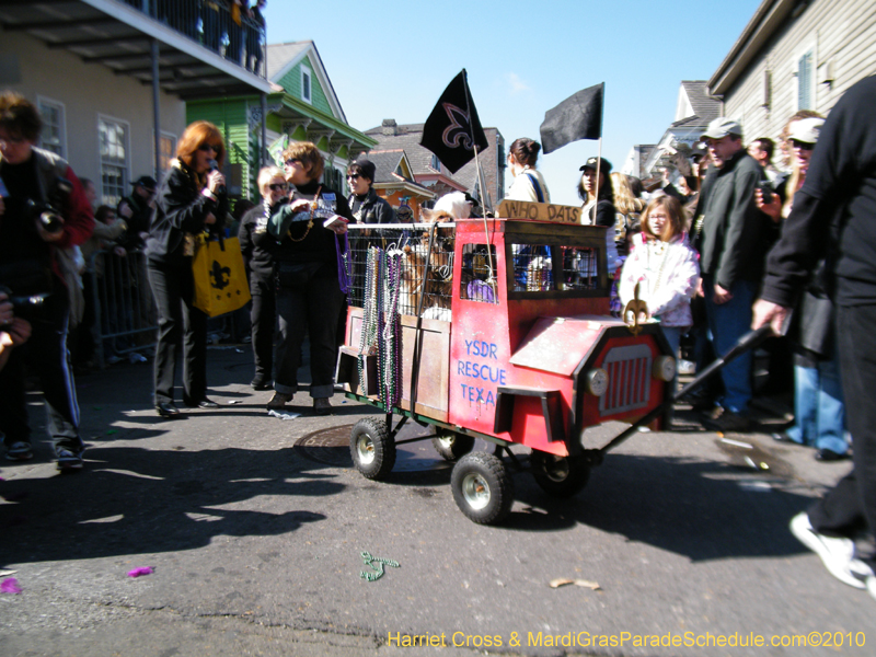 Mystic-Krewe-of-Barkus-2010-HC-Dog-Parade-Mardi-Gras-New-Orleans-8305