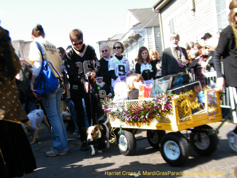 Mystic-Krewe-of-Barkus-2010-HC-Dog-Parade-Mardi-Gras-New-Orleans-8323