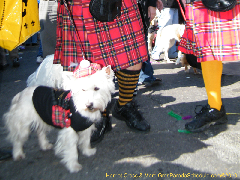 Mystic-Krewe-of-Barkus-2010-HC-Dog-Parade-Mardi-Gras-New-Orleans-8334