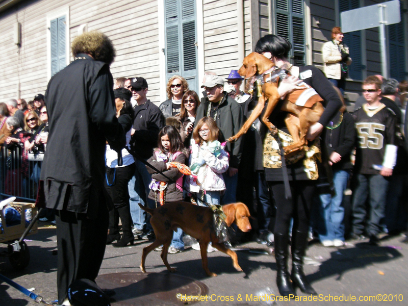 Mystic-Krewe-of-Barkus-2010-HC-Dog-Parade-Mardi-Gras-New-Orleans-8341