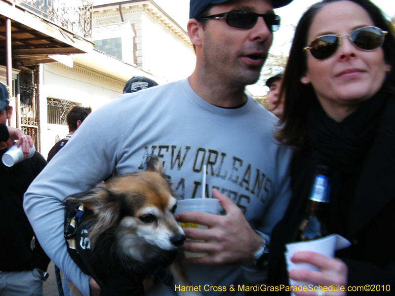 Mystic-Krewe-of-Barkus-2010-HC-Dog-Parade-Mardi-Gras-New-Orleans-8347
