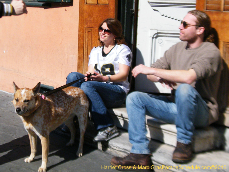 Mystic-Krewe-of-Barkus-2010-HC-Dog-Parade-Mardi-Gras-New-Orleans-8350