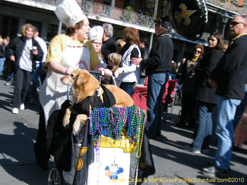 Mystic-Krewe-of-Barkus-2010-HC-Dog-Parade-Mardi-Gras-New-Orleans-8355