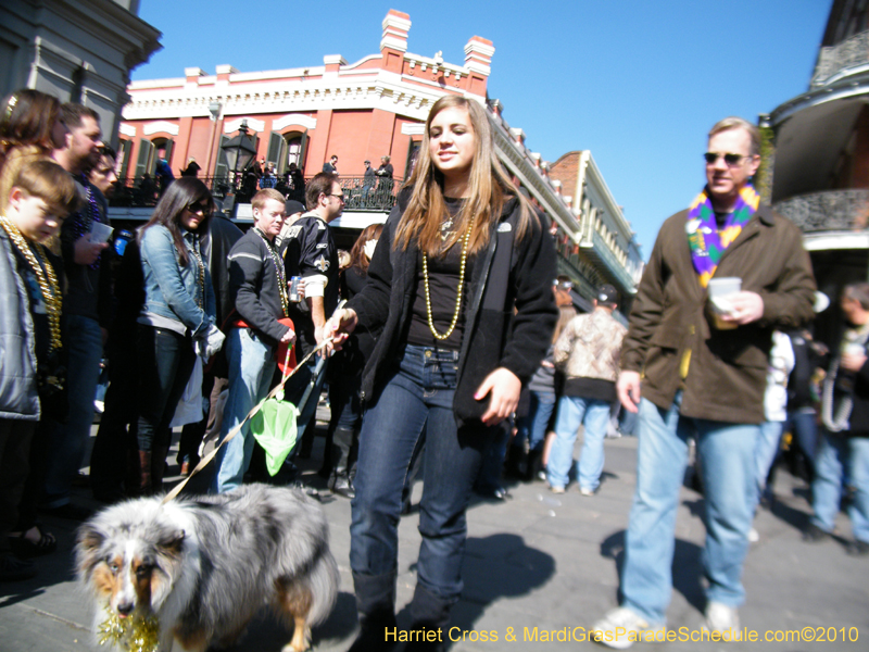 Mystic-Krewe-of-Barkus-2010-HC-Dog-Parade-Mardi-Gras-New-Orleans-8364