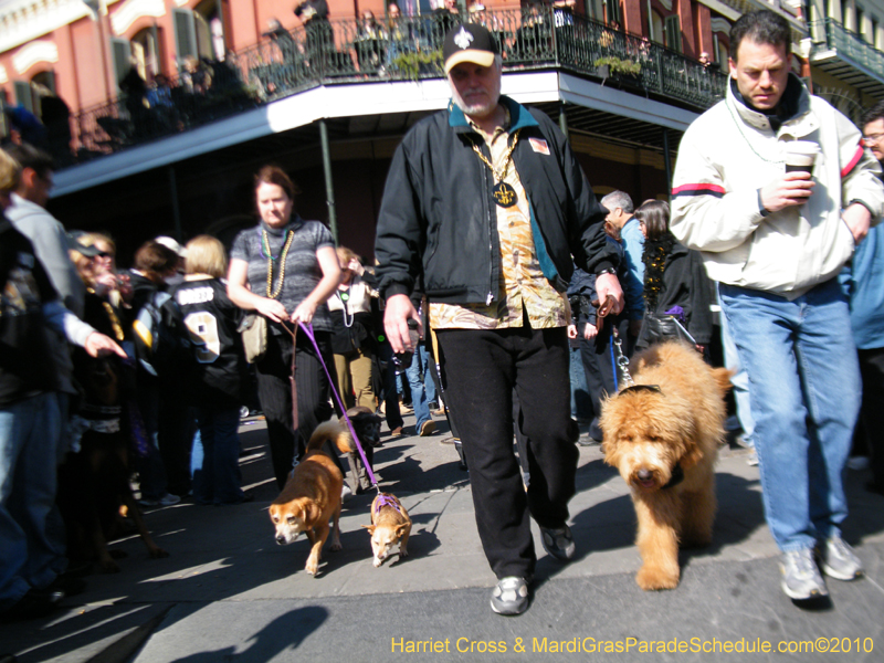 Mystic-Krewe-of-Barkus-2010-HC-Dog-Parade-Mardi-Gras-New-Orleans-8377