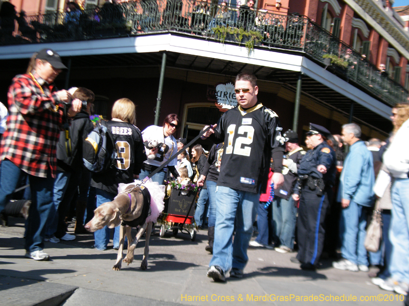 Mystic-Krewe-of-Barkus-2010-HC-Dog-Parade-Mardi-Gras-New-Orleans-8382