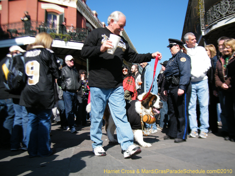 Mystic-Krewe-of-Barkus-2010-HC-Dog-Parade-Mardi-Gras-New-Orleans-8402