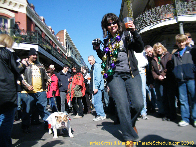 Mystic-Krewe-of-Barkus-2010-HC-Dog-Parade-Mardi-Gras-New-Orleans-8405