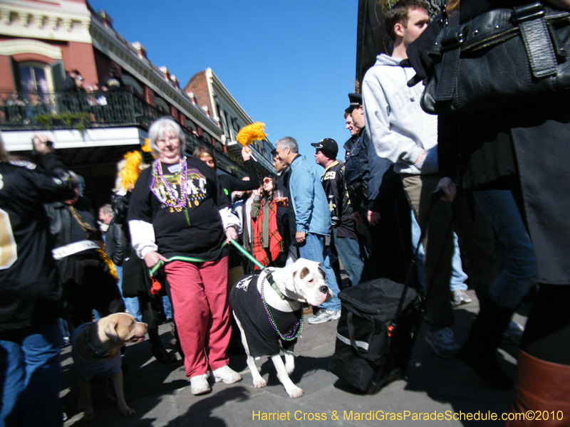 Mystic-Krewe-of-Barkus-2010-HC-Dog-Parade-Mardi-Gras-New-Orleans-8413