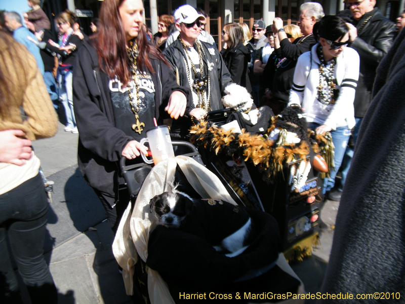 Mystic-Krewe-of-Barkus-2010-HC-Dog-Parade-Mardi-Gras-New-Orleans-8444