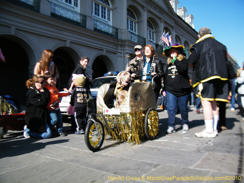 Mystic-Krewe-of-Barkus-2010-HC-Dog-Parade-Mardi-Gras-New-Orleans-8455