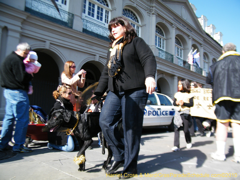 Mystic-Krewe-of-Barkus-2010-HC-Dog-Parade-Mardi-Gras-New-Orleans-8458
