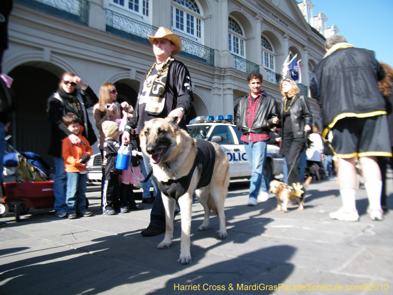 Mystic-Krewe-of-Barkus-2010-HC-Dog-Parade-Mardi-Gras-New-Orleans-8461