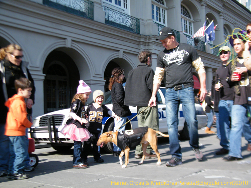 Mystic-Krewe-of-Barkus-2010-HC-Dog-Parade-Mardi-Gras-New-Orleans-8469