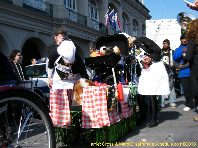 Mystic-Krewe-of-Barkus-2010-HC-Dog-Parade-Mardi-Gras-New-Orleans-8483
