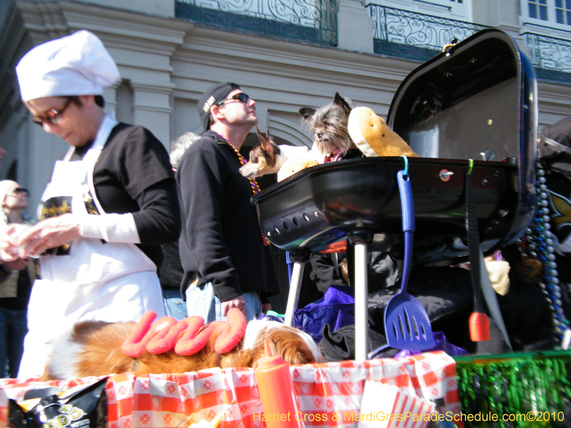 Mystic-Krewe-of-Barkus-2010-HC-Dog-Parade-Mardi-Gras-New-Orleans-8484