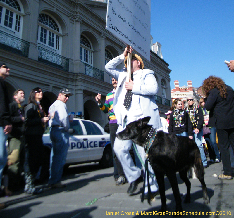 Mystic-Krewe-of-Barkus-2010-HC-Dog-Parade-Mardi-Gras-New-Orleans-8487