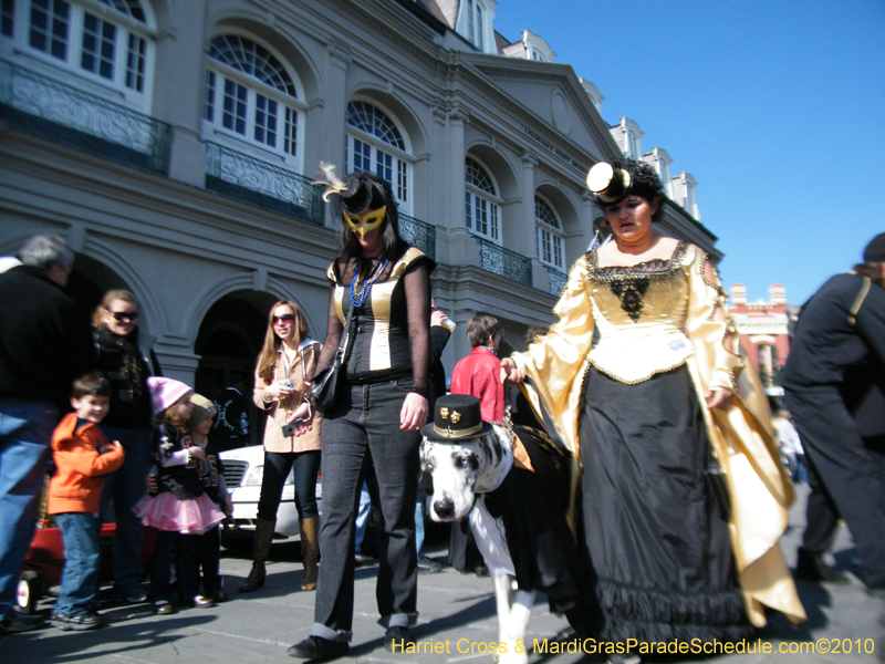 Mystic-Krewe-of-Barkus-2010-HC-Dog-Parade-Mardi-Gras-New-Orleans-8503