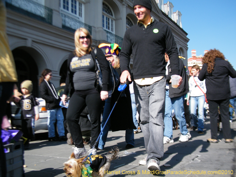 Mystic-Krewe-of-Barkus-2010-HC-Dog-Parade-Mardi-Gras-New-Orleans-8513