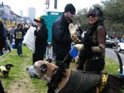 Mystic-Krewe-of-Barkus-2010-HC-Dog-Parade-Mardi-Gras-New-Orleans-8075