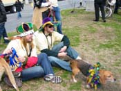 Mystic-Krewe-of-Barkus-2010-HC-Dog-Parade-Mardi-Gras-New-Orleans-8076