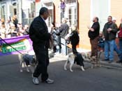 Mystic-Krewe-of-Barkus-2010-HC-Dog-Parade-Mardi-Gras-New-Orleans-8180