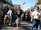 Mystic-Krewe-of-Barkus-2010-HC-Dog-Parade-Mardi-Gras-New-Orleans-8275