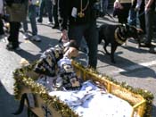 Mystic-Krewe-of-Barkus-2010-HC-Dog-Parade-Mardi-Gras-New-Orleans-8298