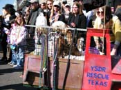 Mystic-Krewe-of-Barkus-2010-HC-Dog-Parade-Mardi-Gras-New-Orleans-8306