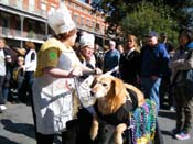 Mystic-Krewe-of-Barkus-2010-HC-Dog-Parade-Mardi-Gras-New-Orleans-8356