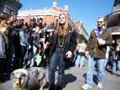 Mystic-Krewe-of-Barkus-2010-HC-Dog-Parade-Mardi-Gras-New-Orleans-8364