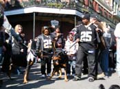 Mystic-Krewe-of-Barkus-2010-HC-Dog-Parade-Mardi-Gras-New-Orleans-8374