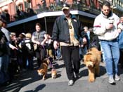 Mystic-Krewe-of-Barkus-2010-HC-Dog-Parade-Mardi-Gras-New-Orleans-8377