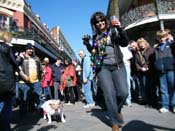Mystic-Krewe-of-Barkus-2010-HC-Dog-Parade-Mardi-Gras-New-Orleans-8405