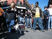 Mystic-Krewe-of-Barkus-2010-HC-Dog-Parade-Mardi-Gras-New-Orleans-8406