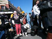 Mystic-Krewe-of-Barkus-2010-HC-Dog-Parade-Mardi-Gras-New-Orleans-8413