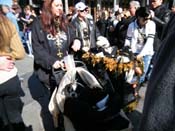 Mystic-Krewe-of-Barkus-2010-HC-Dog-Parade-Mardi-Gras-New-Orleans-8444